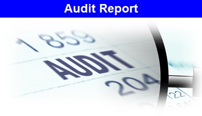 Audit Report Icon