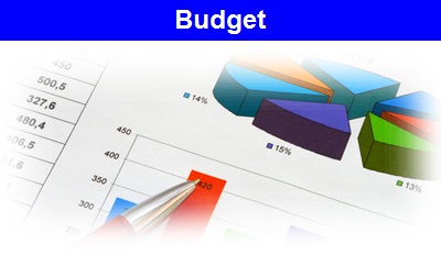 Budget icon